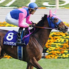meishoubon's profile picture. 「メイショウ」馬を応援しています。『意外と当たる「メイショウ」馬券術』が2018年6月29日に主婦の友社から発売。競馬道OnLineではメイショウ馬の激走予想を実施中！