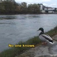 ulkemde turk gormek istemiyorum (@rohahoharey) Twitter profile photo