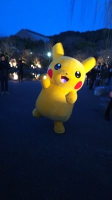 denki3261's profile picture. 名古屋市内の電気屋です。
猫とゲーム