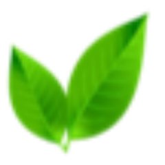 Ruvy_Beverages's profile picture. 😎