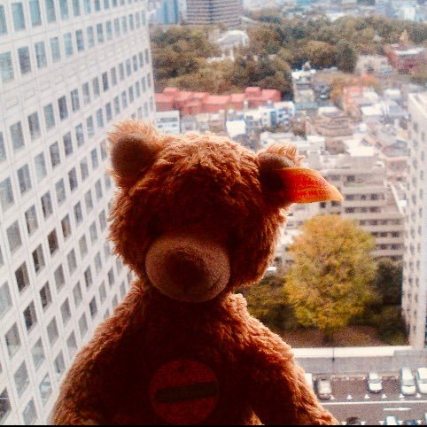 bearshenanigans's profile picture. Grr.