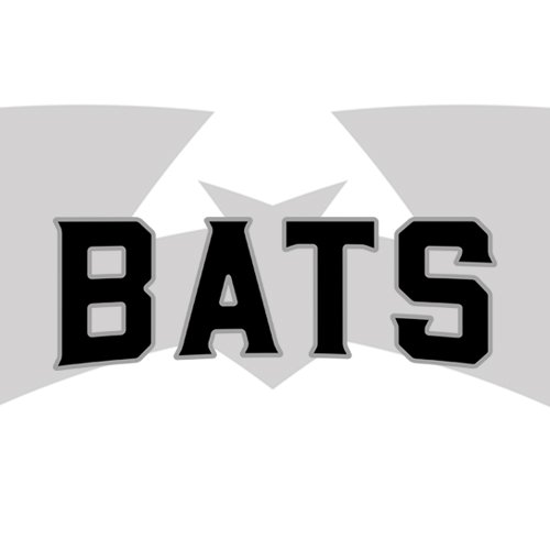 dublinbats01 Profile Picture