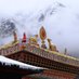Subas Mehta (@nature1loving) Twitter profile photo Subas Mehta (@nature1loving) Twitter profile photo