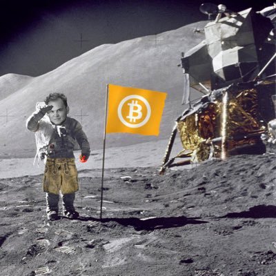 _PinkChimp_'s profile picture. 💂‍♂️former army officer 🔫 | 📈statistics and big data scientist 📊| ⛓#crypto lover 🚀 | 🇩🇪and most importantly Bavarian 🍺 #bitcoin