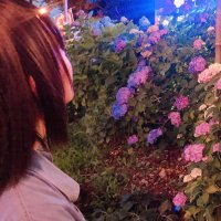 奈央 (@uthrjnnao) 's Twitter Profile