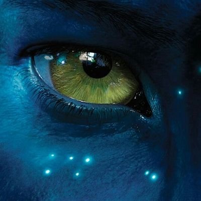 Lonelyp99577238's profile picture. Poetry lover...,That's it! Wish to get advices based on poetry,