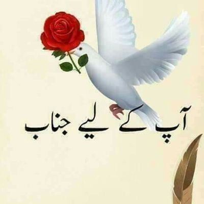 Pakista40463678's profile picture. ‏‏‏‏‏‏ابوحمزہ یاسررضاقادری