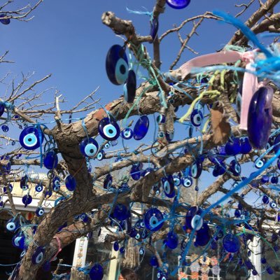 seldaersal2's profile picture. Anestezi uzmanı, doktor, iki kuzunun annesi