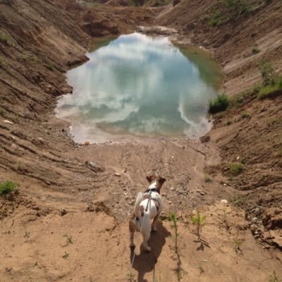 moyapoezdka's profile picture. Записки о поездках и вообще...читаю взаимно #читаювзаимно #followback #followme #взаимноечтение #взаимнаяподписка #взаимныйфолловинг