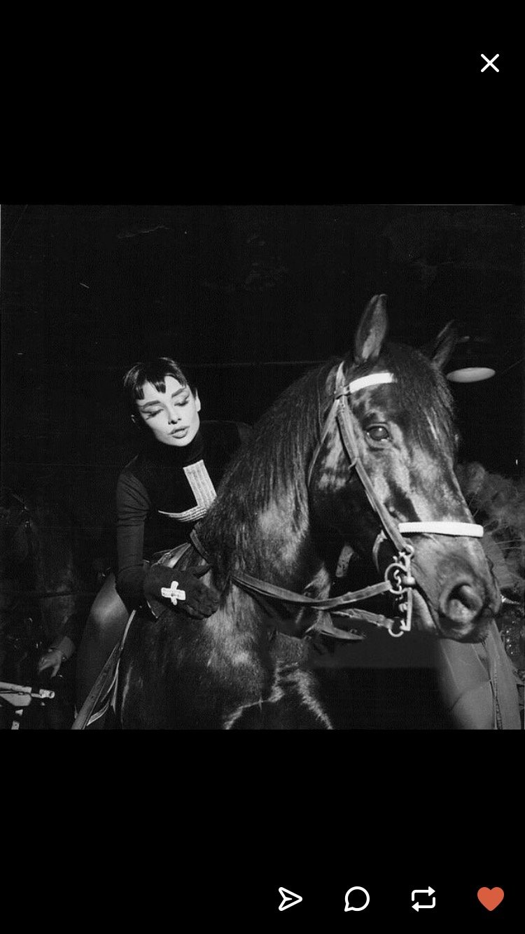 woodlandwaves's profile picture. this is the twitter that my family is blocked on. she/her. BLM