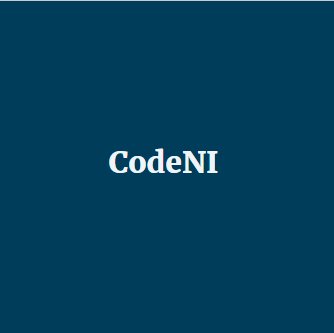 CodeNI4's profile picture. C# Teacher Training and computing event specialists