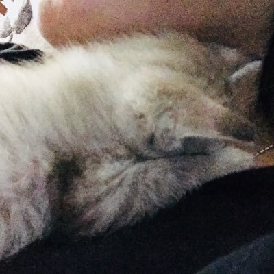 DyyaFianna's profile picture. Jangan menilai dari cahaya mata ,
Nilai lah dari sudut hati yang berbicara .
ig - sufianasufian