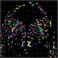 Papalopulu Lab (@papalopululab) 's Twitter Profile