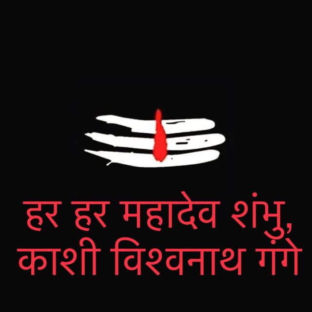 KumarVikasgoyal's profile picture. 