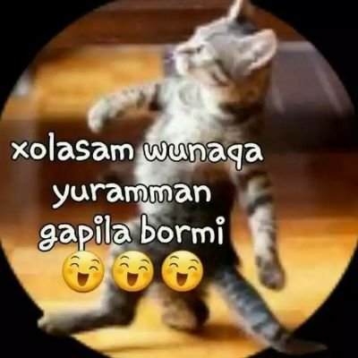 Behzod84277906's profile picture. 