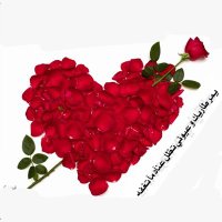(جود احمد ❤) (@lklxn7nfeofm3a3) 's Twitter Profile