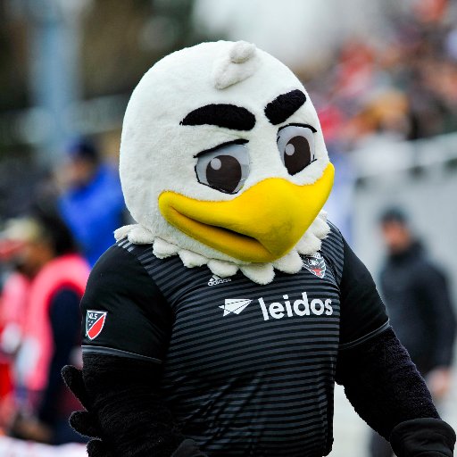 I like soccer. #BirdLife Official Mascot of D.C. United. Catch me at @audifield or on Insta @TalonDCU.