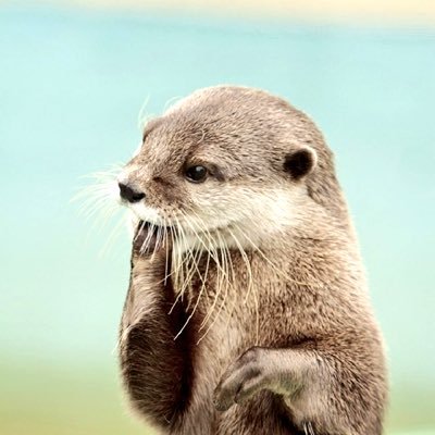 manatarou9412's profile picture. 7番 #ピョルマニョン