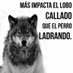 Elquelasmatacallando (@qlasmatacalland) Twitter profile photo Elquelasmatacallando (@qlasmatacalland) Twitter profile photo