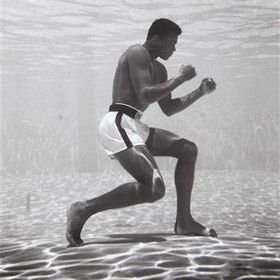 Epistemologiy's profile picture. 