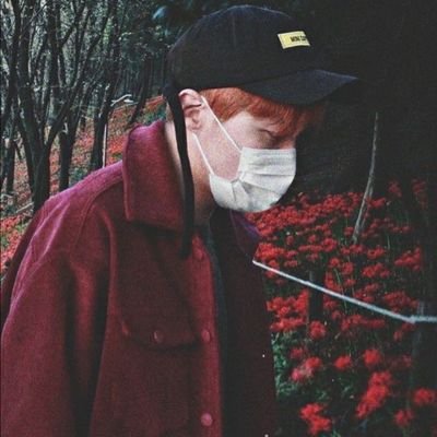 EXO-L
CARAT
NCT-ZEN