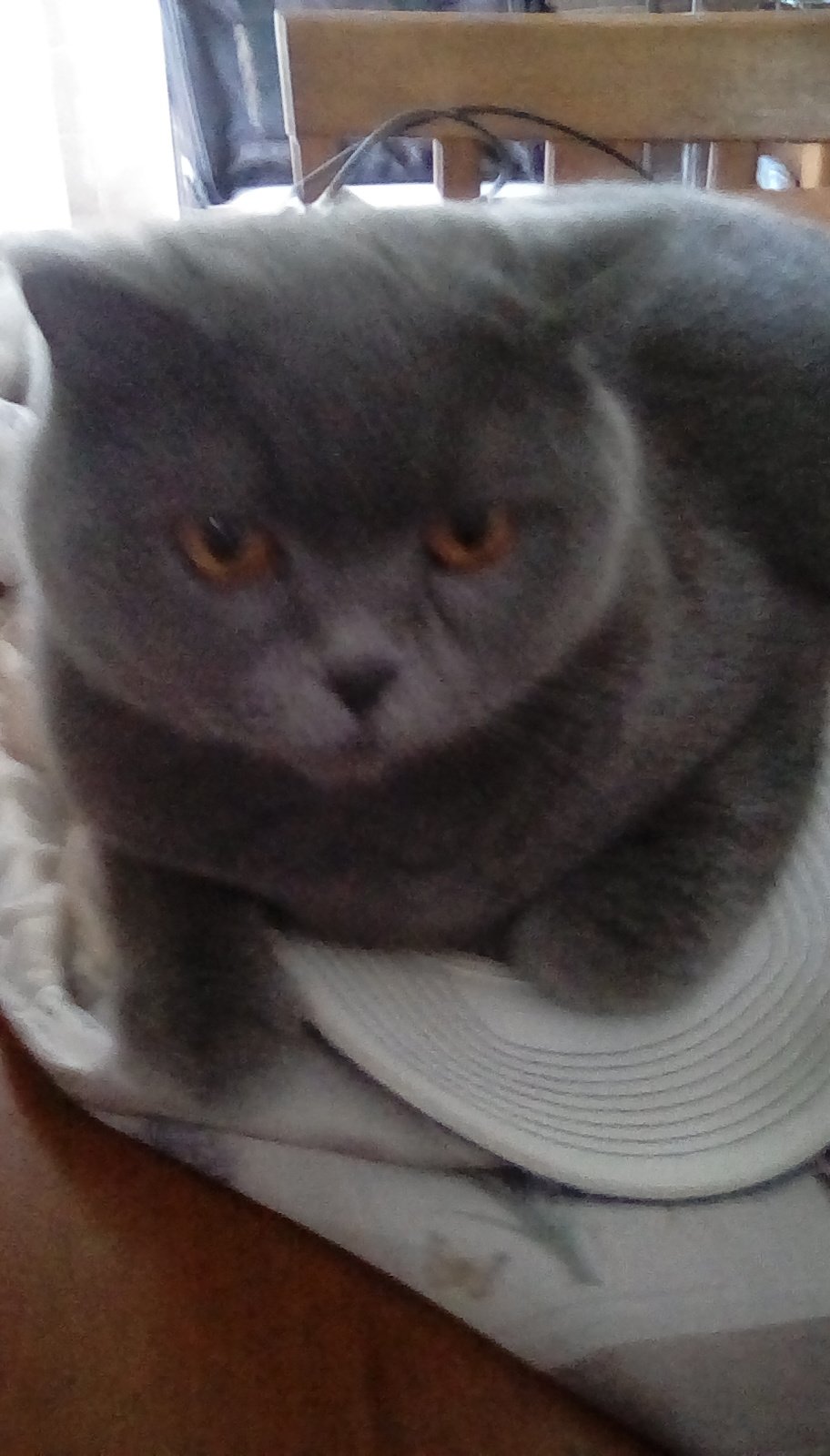 lemoi_c's profile picture. 