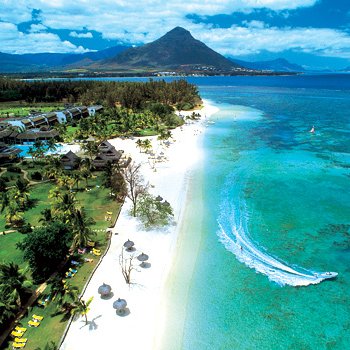 SenseiVSushi's profile picture. 