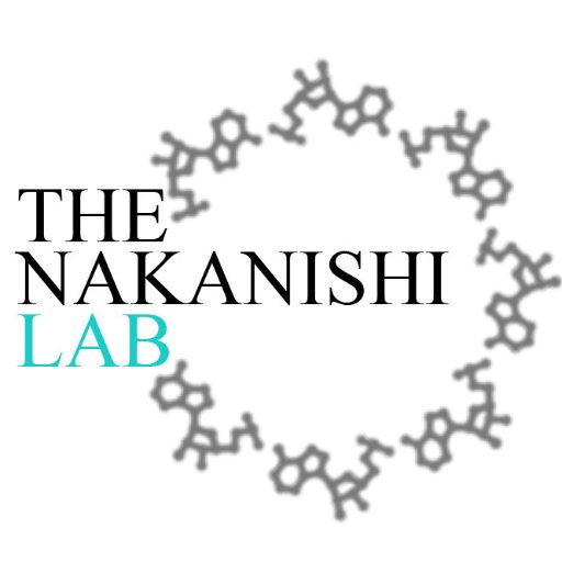 News from @ktr_nakanishi's lab at The Ohio State University.