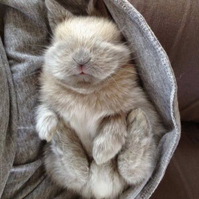 StoryLanePress's profile picture. 