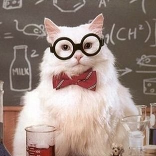 EdgeOfThought's profile picture. This is the Twitter feed of all of us here at The Edge Of Thought.

Jessika
Kay
Michelle
Leadthaniel
Jourdan