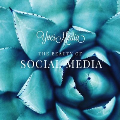 media_yves's profile picture. We’re a social media consulting firm.