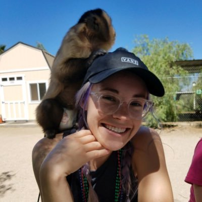 allygils's profile picture. 