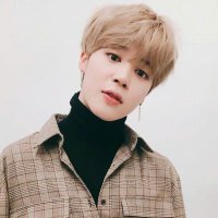 JIMIN 🌙 (@btsvide) 's Twitter Profile