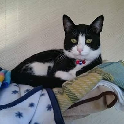 takekimiko's profile picture. 