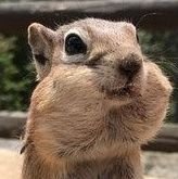 c_keta's profile picture. サ道