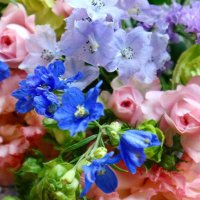 よっこ (@a834y) 's Twitter Profile