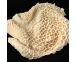 jon mcleod - @mcleodjon - Twitter