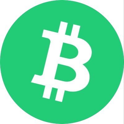 BCH Network