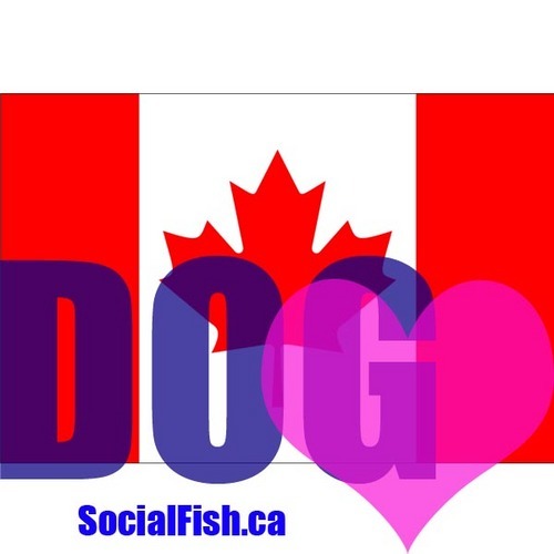 CNDDogLovers's profile picture. A part of the Canadian Dog Lovers social network.
Managed by Social Fish Media