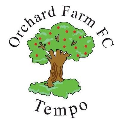 Local football team in Tempo. Challenging for both the Division 3 and Reserve Division 3 titles. #followthefarm