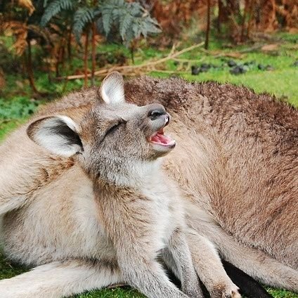 thatcrazyjoey's profile picture. 