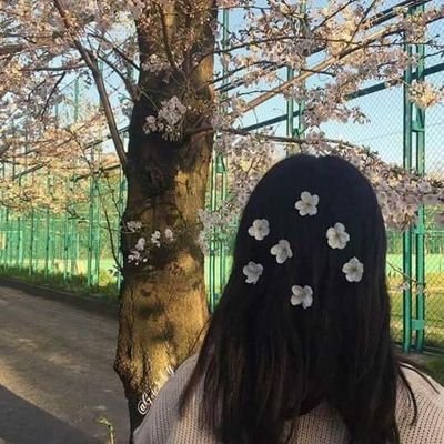 Nyhed1's profile picture. Art