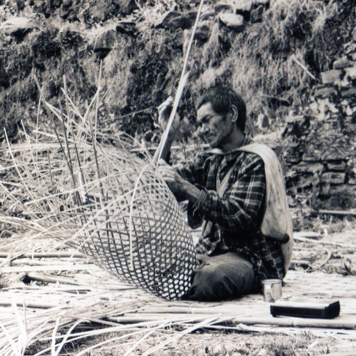 migrro's profile picture. 