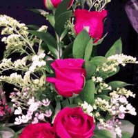 البنفسج (@hnthr6700) Twitter profile photo