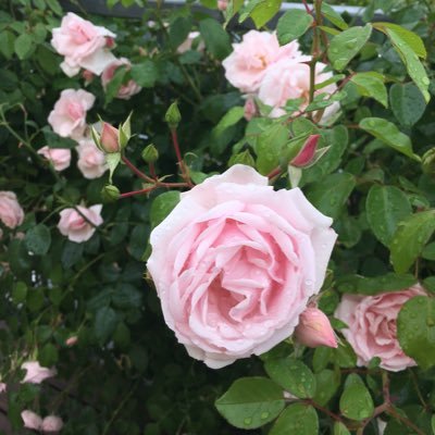 tclar67's profile picture. life is a never ending journey