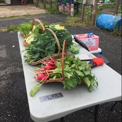 Pigtown Food For Thought is a Baltimore based community garden. We strive to bring sustainably grown vegetables to Pigtown. Community Gardening Pigtown