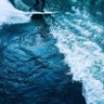 pamelajogra2379's profile picture. Helping my American friends to turn THE BLUE WAVE into THE BLUE TSUNAMI