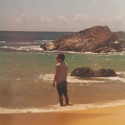 stripey_donkey's profile picture. 