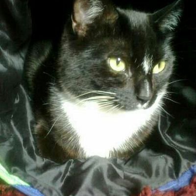 lizfy44's profile picture. 