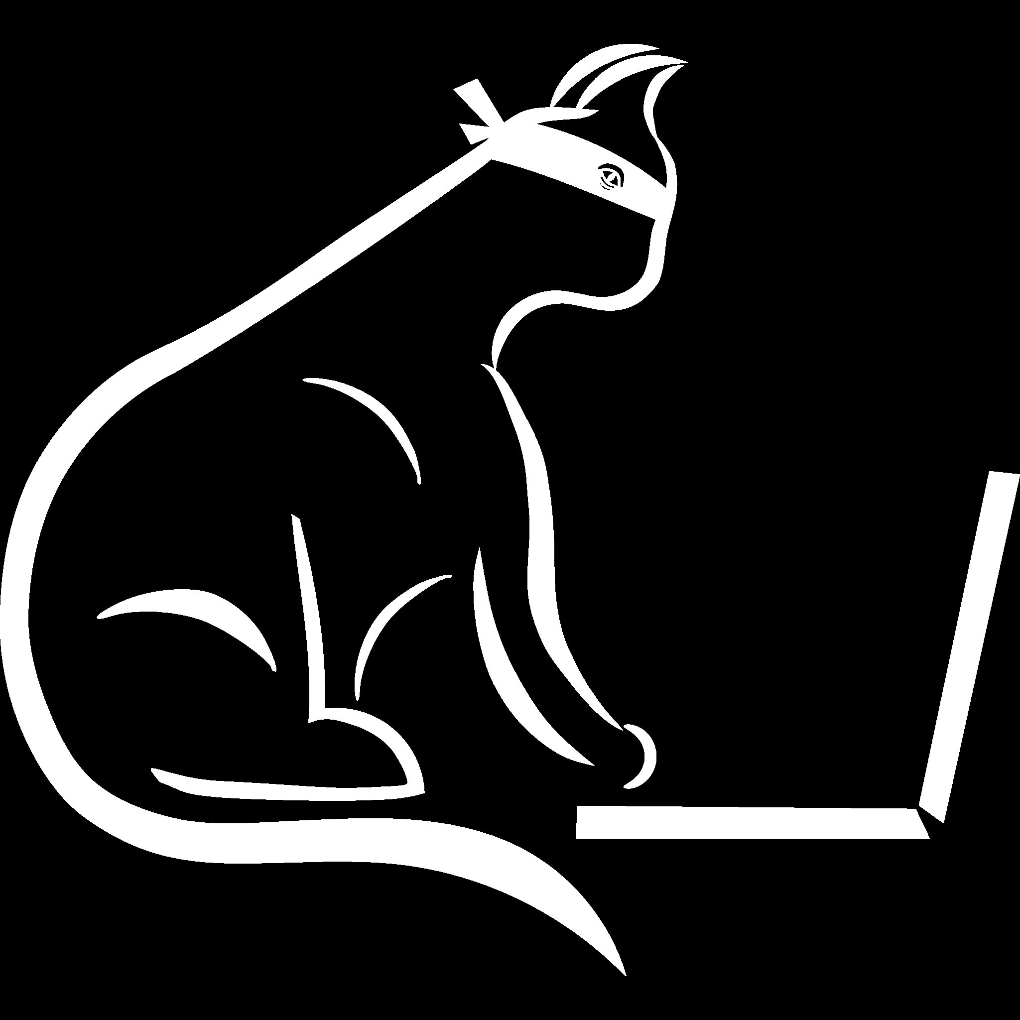 CrackcatPL's profile picture. Crackcat - blog o programowaniu i cyberbezpieczeństwie